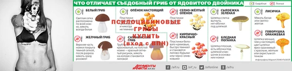 ешки Арсеньев