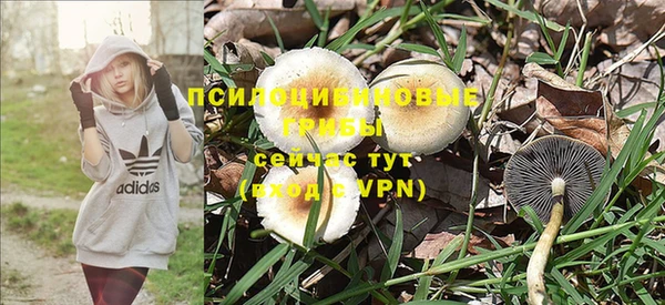 ешки Арсеньев