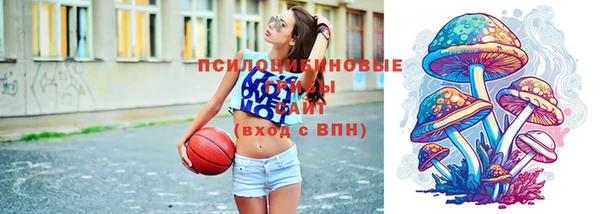 ешки Арсеньев